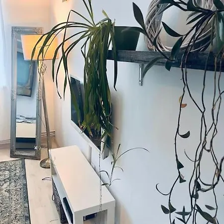 Lorand's Place Near The River كلوج-نابوكا