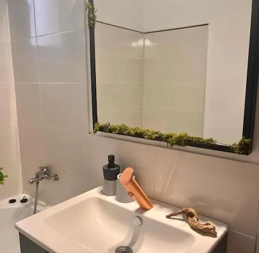 Lorand's Place Near The River クルージュ＝ナポカ